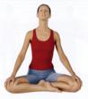 Dharma Publishing Announces 4 Online Tibetan Buddhism Courses For...